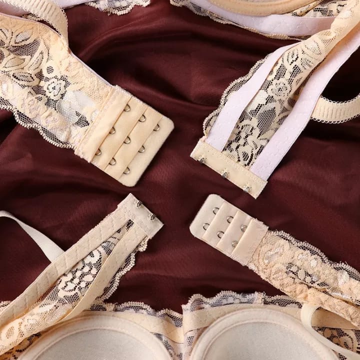 Embroidered Wired Bra With Floral Lace Price In Pakistan
