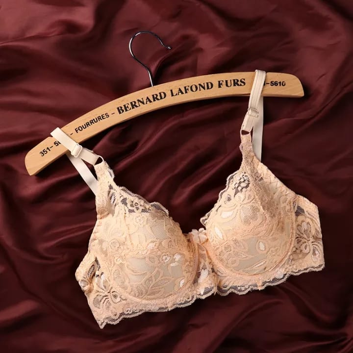 Embroidered Wired Bra With Floral Lace Price In Pakistan