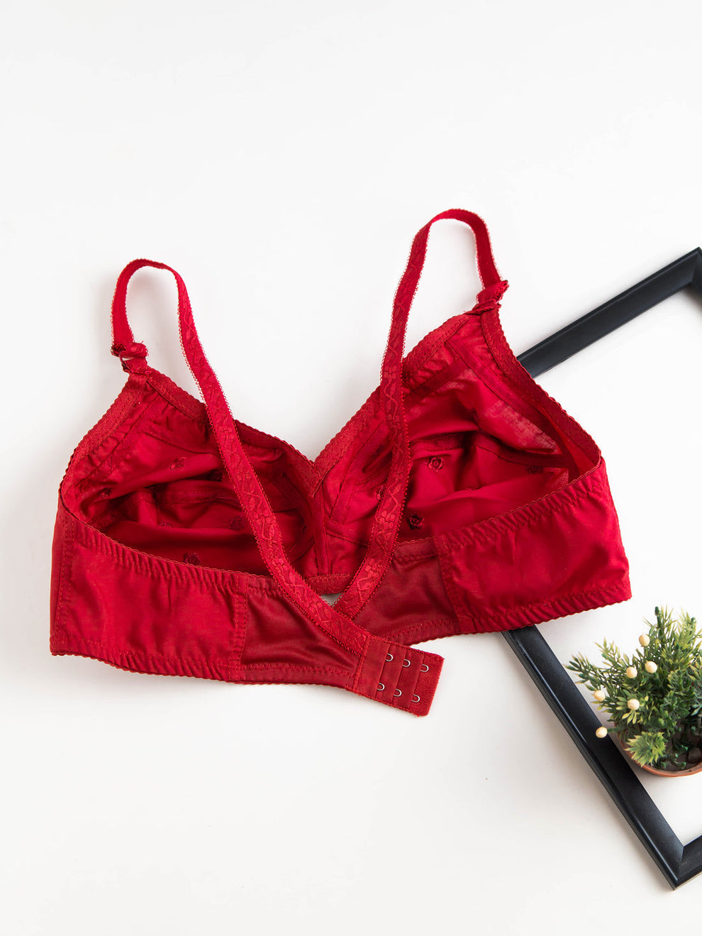 Best Q Best summer cotton bra ❤️(pack of 2)❤️